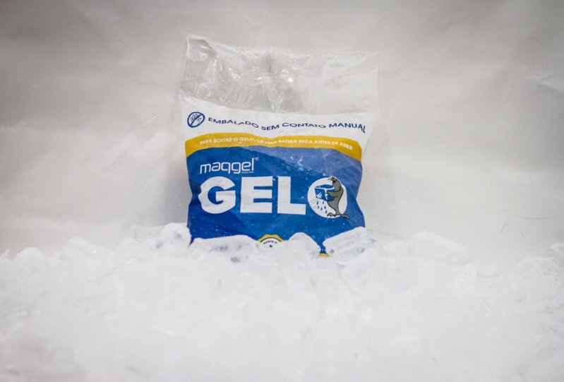 Fornecedores de Gelo de 2 Kg na Lapa - Distribuidor de Gelo para Restaurante