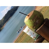 venda de gelo de agua de coco para drink preço Ribeirão Pires