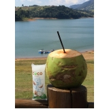 venda de gelo de agua de coco para eventos valor Água Rasa