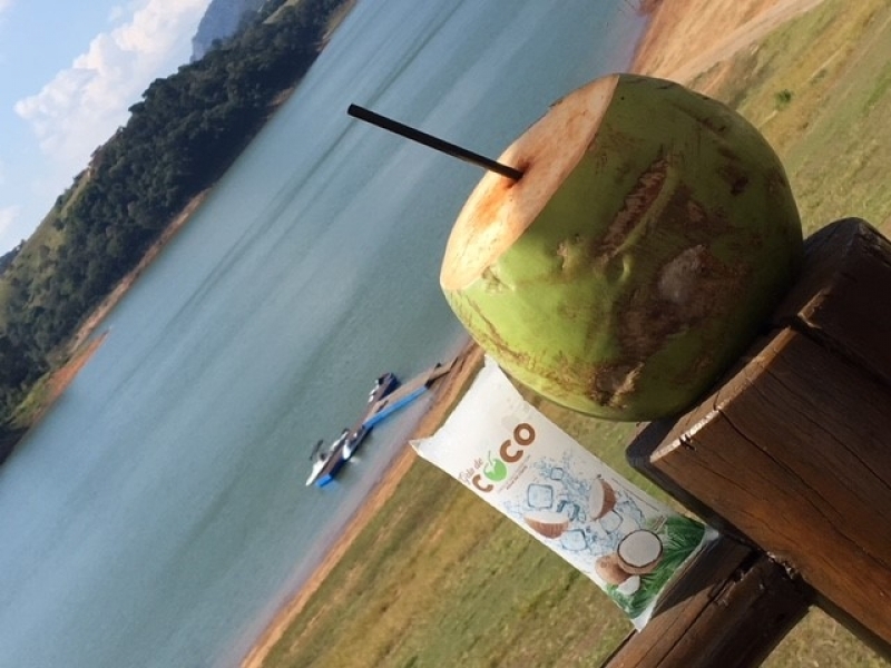 Venda de Gelo de Agua de Coco para Drink Preço Jabaquara - Venda de Gelo de Agua de Coco para Eventos