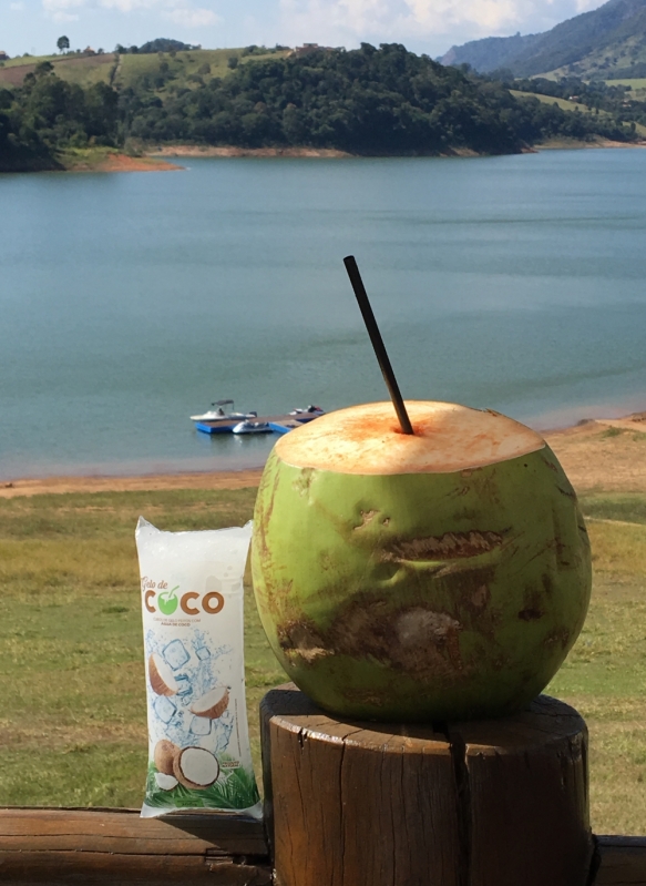 Venda de Gelo de Agua de Coco para Eventos Valor Higienópolis - Venda de Gelo de Agua de Coco em Tubo